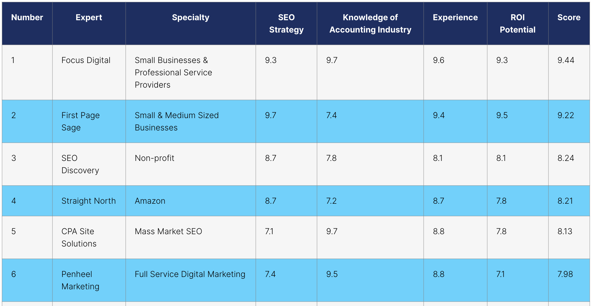 Top Accounting Firm SEO Experts